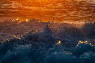 Waves splash and collide against each other as the calm sun sets against the rumbling ocean waves.