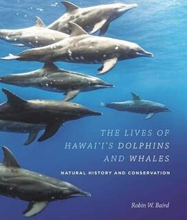 The Lives of Hawaii's Dolphins and Whales